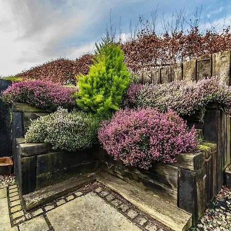 Two Bedroom With Views Of The Curragh Appartement Erindale